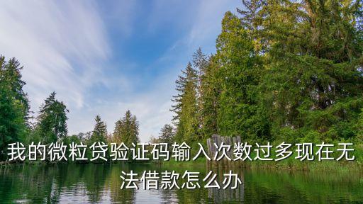 微粒貨無法借錢怎么辦，為什么我的微粒貸不能借錢