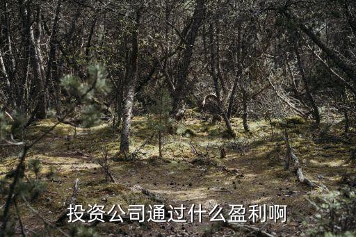 投資公司怎么賺錢，投資理財公司靠什么賺錢