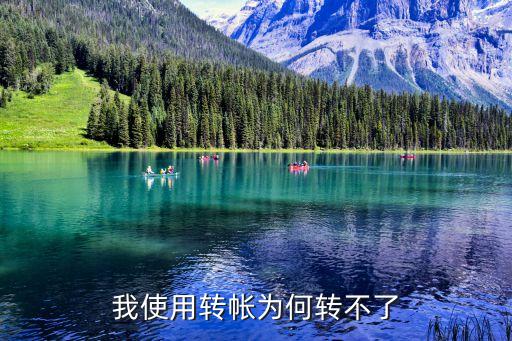 我使用轉(zhuǎn)帳為何轉(zhuǎn)不了