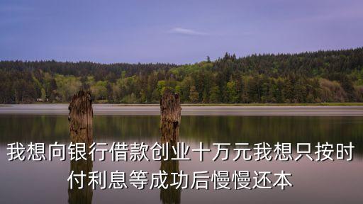 建行善融貸怎么樣，我想向銀行借款創(chuàng)業(yè)十萬元我想只按時付利息等成功后慢慢還本
