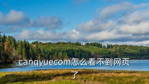 怎么找不到錢理寶網(wǎng)站，wwwfeizlcom現(xiàn)在怎么看不到了