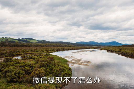 微信零錢(qián)提不出來(lái)怎么辦，微信錢(qián)包里的零錢(qián)提不了現(xiàn) 怎么辦啊