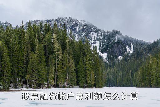 融券賺錢怎么算的，融券回購怎么算利潤