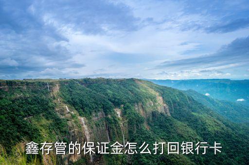 鑫存管的保證金怎么打回銀行卡