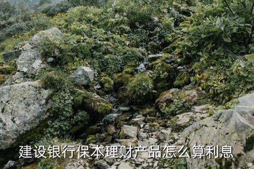 銀行保本理財(cái)怎么計(jì)算公式，保本理財(cái)怎樣計(jì)算