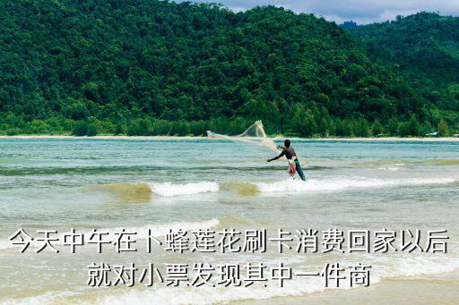 刷卡消費扣雙倍錢怎么辦，今天中午在卜蜂蓮花刷卡消費回家以后就對小票發(fā)現(xiàn)其中一件商
