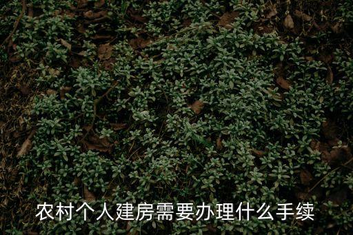 農(nóng)村個(gè)人建房需要辦理什么手續(xù)