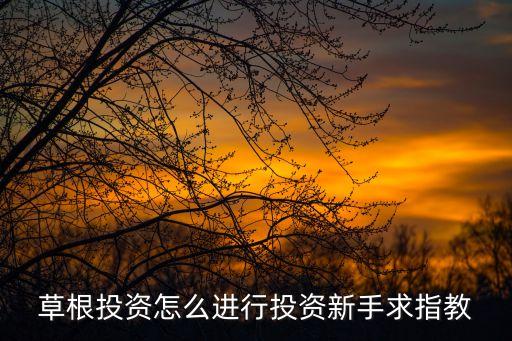 草根投資怎么投資，草根投資怎么進(jìn)行投資新手求指教