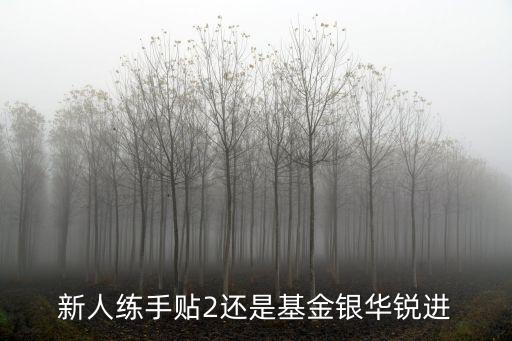 新人練手貼2還是基金銀華銳進(jìn)