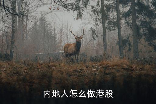 內(nèi)地人怎么做港股
