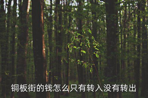 銅板街的錢怎么只有轉(zhuǎn)入沒有轉(zhuǎn)出