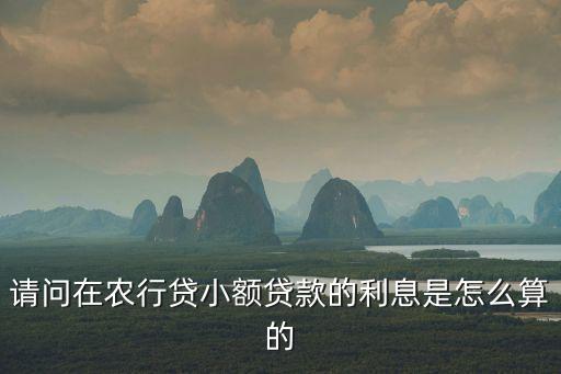請(qǐng)問(wèn)在農(nóng)行貸小額貸款的利息是怎么算的
