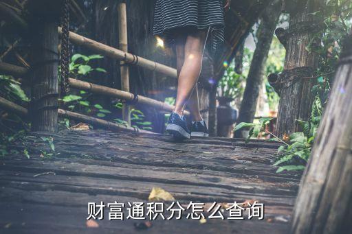 怎么查看財(cái)付通積分，財(cái)富通積分怎么查詢(xún)