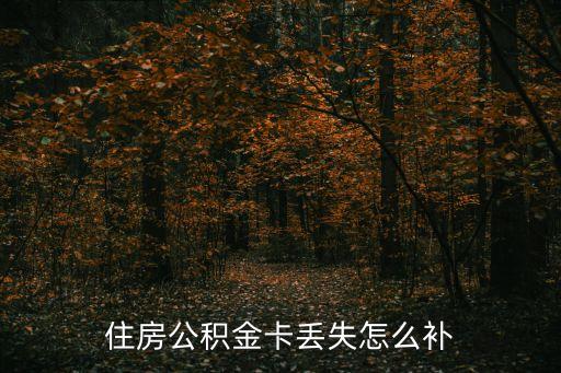 住房公積金卡丟失怎么補(bǔ)
