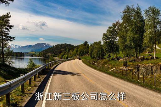 新三板公司怎么樣，浙江新三板資產(chǎn)管理有限公司怎么樣