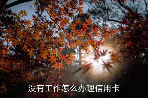 本科沒工作怎么辦信用卡，我沒上班怎么辦信用卡啊