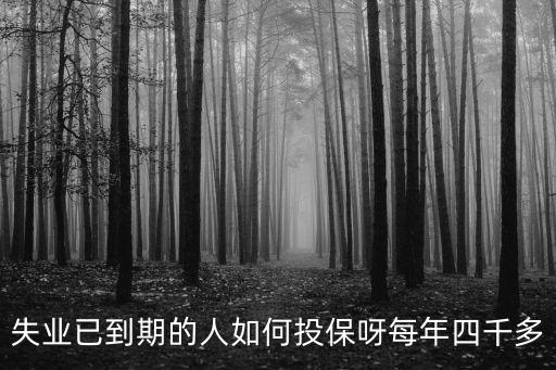 失業(yè)已到期的人如何投保呀每年四千多