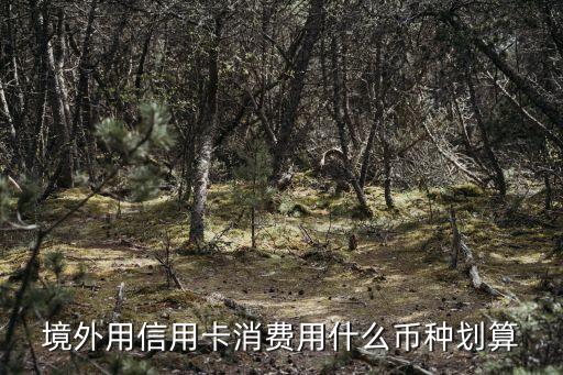 境外用信用卡消費(fèi)用什么幣種劃算