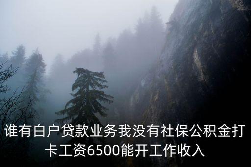 誰有白戶貸款業(yè)務我沒有社保公積金打卡工資6500能開工作收入