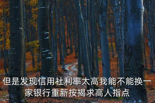 但是發(fā)現(xiàn)信用社利率太高我能不能換一家銀行重新按揭求高人指點(diǎn)