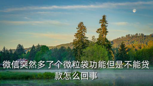 微信突然多了個(gè)微粒袋功能但是不能貸款怎么回事