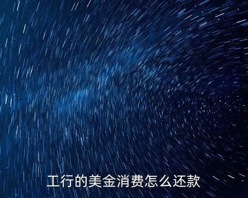 工行的美金消費怎么還款