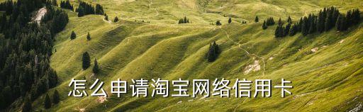怎么申請?zhí)詫毦W(wǎng)絡信用卡