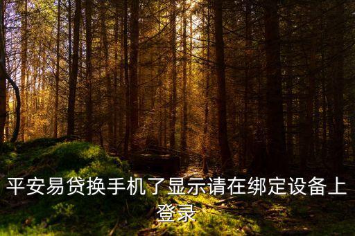 平安易貸換手機(jī)了顯示請(qǐng)?jiān)诮壎ㄔO(shè)備上登錄