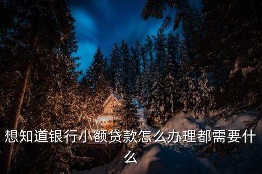 去銀行小額貸款怎么貸，怎么向銀行申請小額貸款