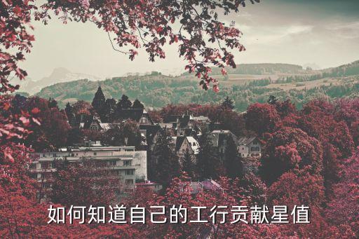 怎么看對銀行的貢獻，如何知道自己的工行貢獻星值