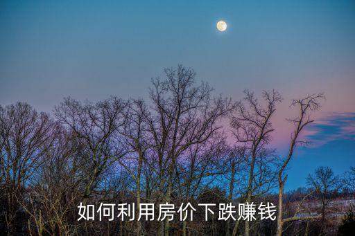 房價大跌應(yīng)怎么投資，如何利用房價下跌賺錢