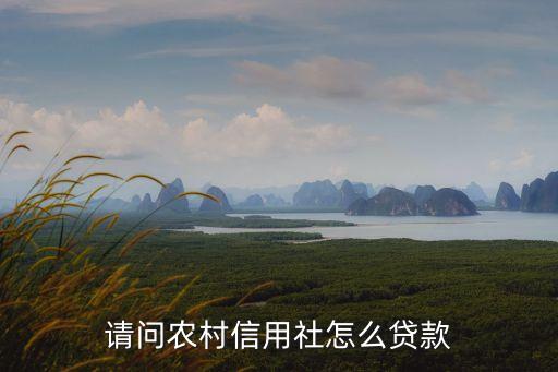 信用社貸款怎么好貸，我想 在農(nóng)村信用社貸款怎么貸 好 貸嗎