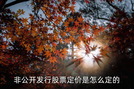 非公開發(fā)行股票定價(jià)是怎么定的