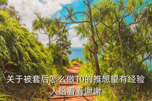 關(guān)于被套后怎么做T0的推想望有經(jīng)驗(yàn)人給看看謝謝