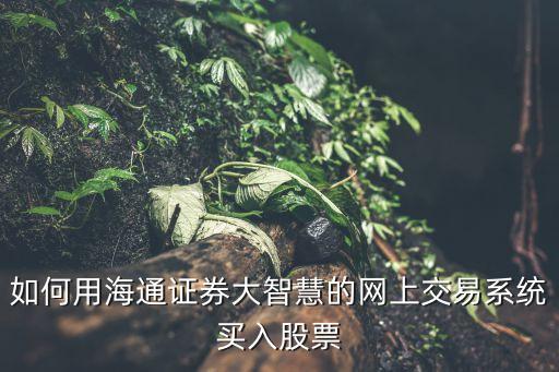 手機(jī)大智慧怎么打新股，方正證券的客戶如何在大智慧軟件里進(jìn)行交易