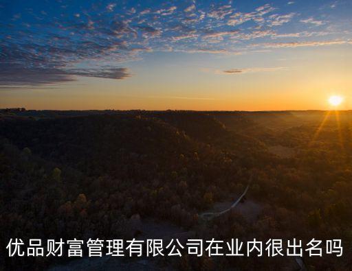 優(yōu)品財富管理有限公司在業(yè)內(nèi)很出名嗎