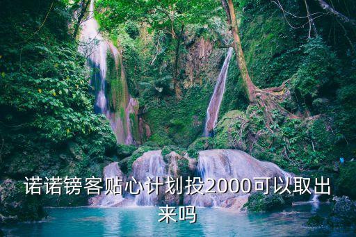 諾諾2000怎么要回來，諾諾鎊客貼心計劃投2000可以取出來嗎