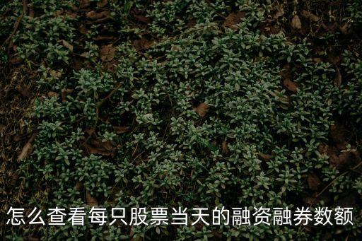 怎么查看每只股票當(dāng)天的融資融券數(shù)額