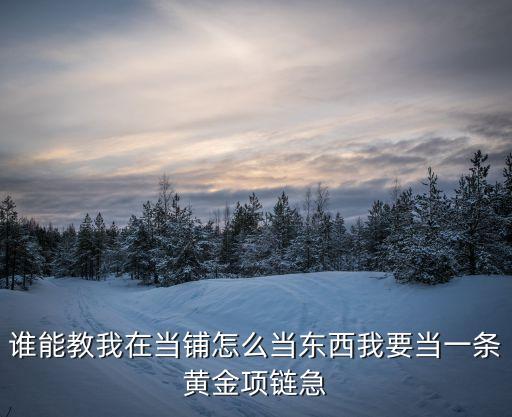 誰(shuí)能教我在當(dāng)鋪怎么當(dāng)東西我要當(dāng)一條黃金項(xiàng)鏈急