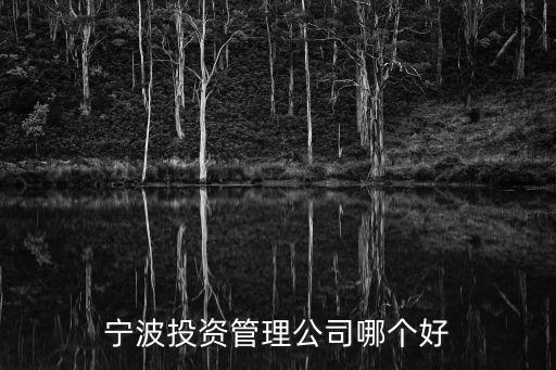 寧波投資管理公司哪個(gè)好