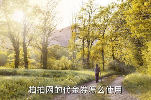 拍拍代金券怎么用，拍拍的優(yōu)惠券代金券怎么使用