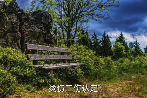 燙傷屬于幾級傷殘保險怎么報，燒傷臉部手上以達到九極傷疾應(yīng)該怎樣賠償呢