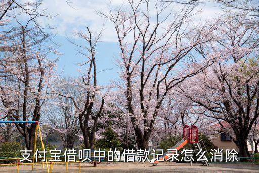支付寶借唄中的借款記錄怎么消除