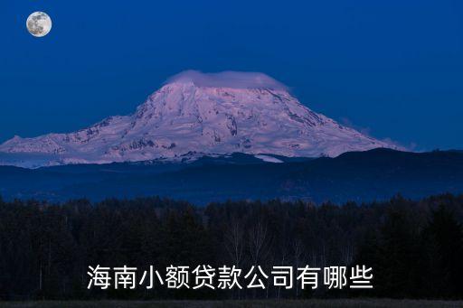 海南草根小額貸款有限公司怎么樣，小額貸款公司怎么樣