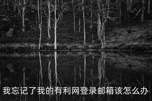我忘記了我的有利網(wǎng)登錄郵箱該怎么辦