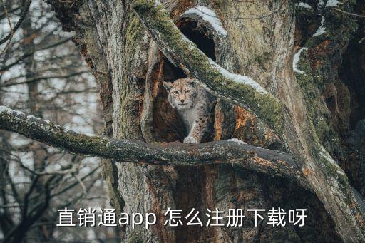 直銷通app 怎么注冊下載呀