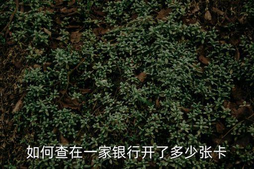 如何查在一家銀行開(kāi)了多少?gòu)埧? class=