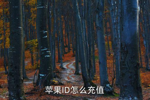 蘋(píng)果ID怎么充值