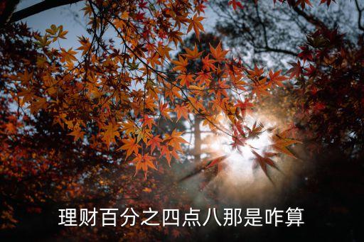 理財(cái)百分之四點(diǎn)八那是咋算