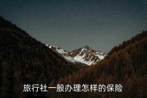 旅行社怎么買保險，旅行社怎樣投保